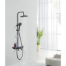 Душевая система LEMARK TROPIC LM7012BL, 237 мм